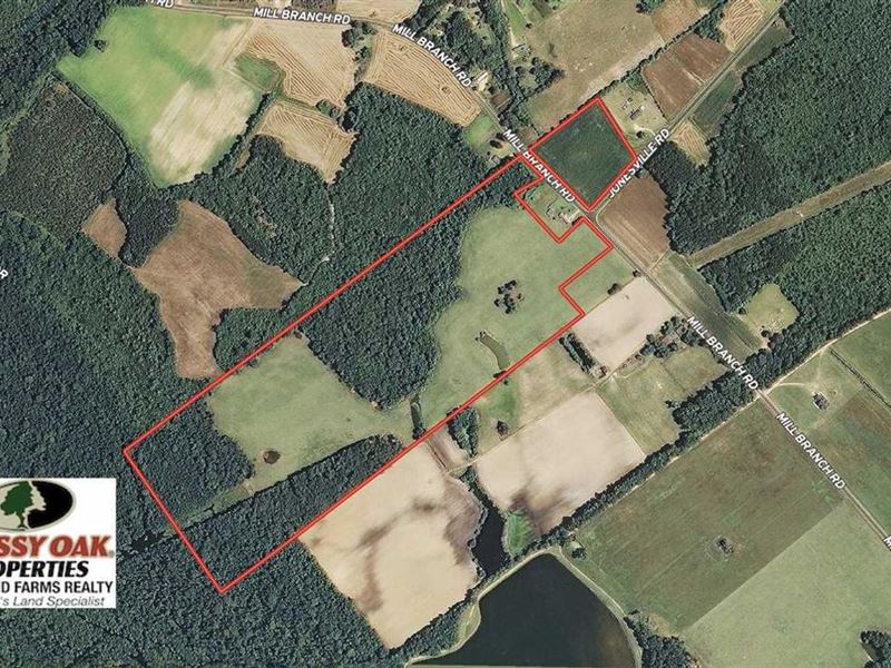 67.95 Acres : Fairmont : Robeson County : North Carolina