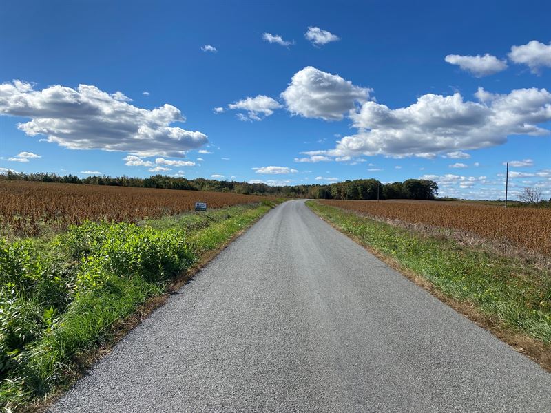 Large Land Tract Halifax County : Nathalie : Halifax County : Virginia