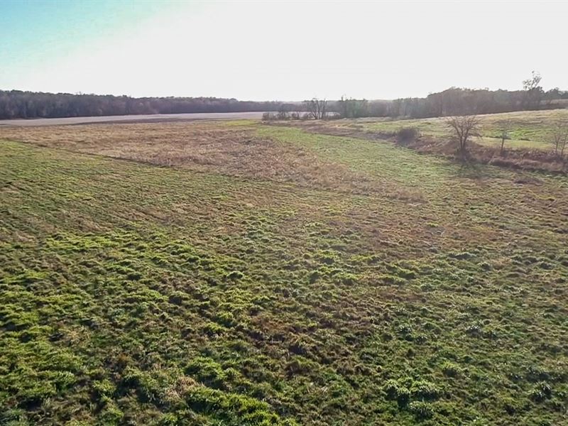 Monroe County Investment Farm : Albia : Monroe County : Iowa