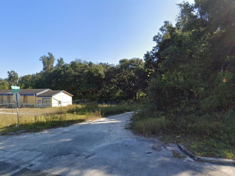 .9 Acres for Sale in Citra, FL : Citra : Marion County : Florida