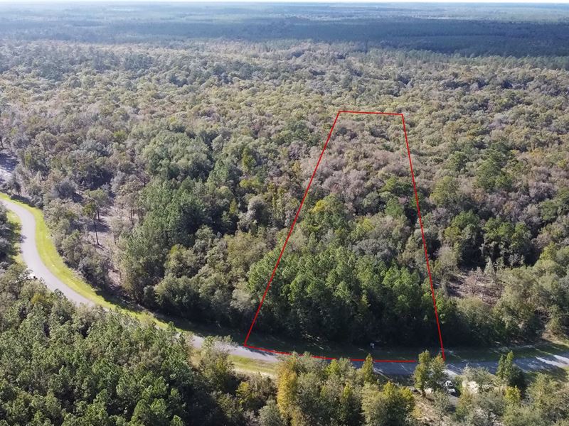 Lot 94 Deep Creek Plantation, Land for Sale in Florida, 259490 LANDFLIP