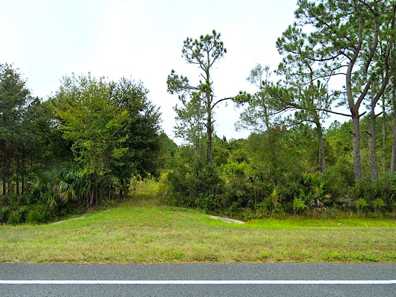 Mobile Homes Ok, Utilities On Site : Waldo : Alachua County : Florida