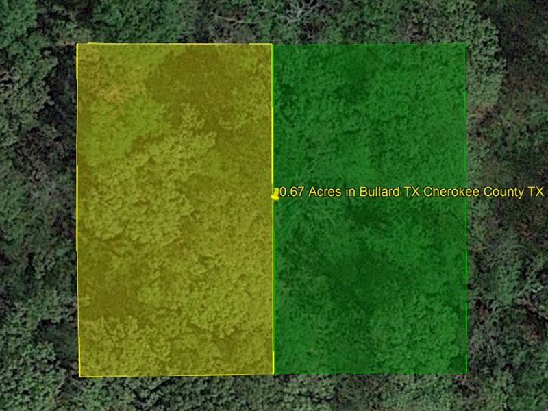 .67 Acres in Bullard, TX : Bullard : Cherokee County : Texas