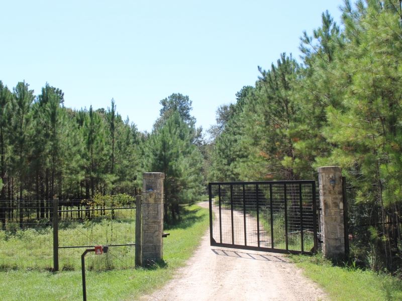 Colibri Pines : Montgomery : Montgomery County : Texas