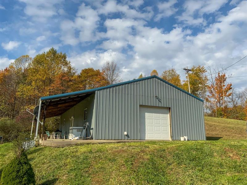 Crooked Tree, 60 Acres, Noble Cou : Dexter City : Noble County : Ohio