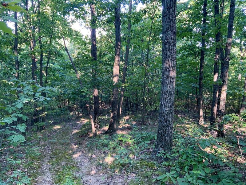 Cobbler Rd, 4 Acres, Carroll Coun : Mechanicstown : Carroll County : Ohio