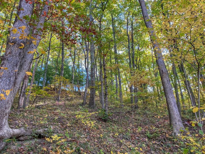 Westview Rd, 7 Acres, Guernsey Co : Cambridge : Guernsey County : Ohio