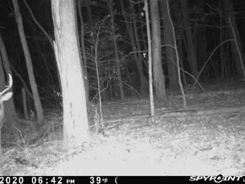 Millfield Rd, 196 Acres, Athens : Millfield : Athens County : Ohio