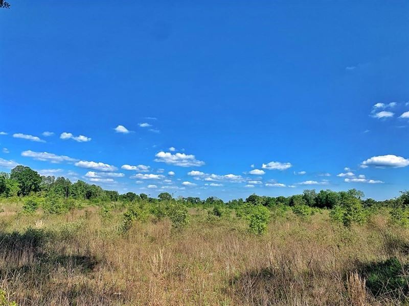 Vacant Land Trenton Florida : Trenton : Levy County : Florida