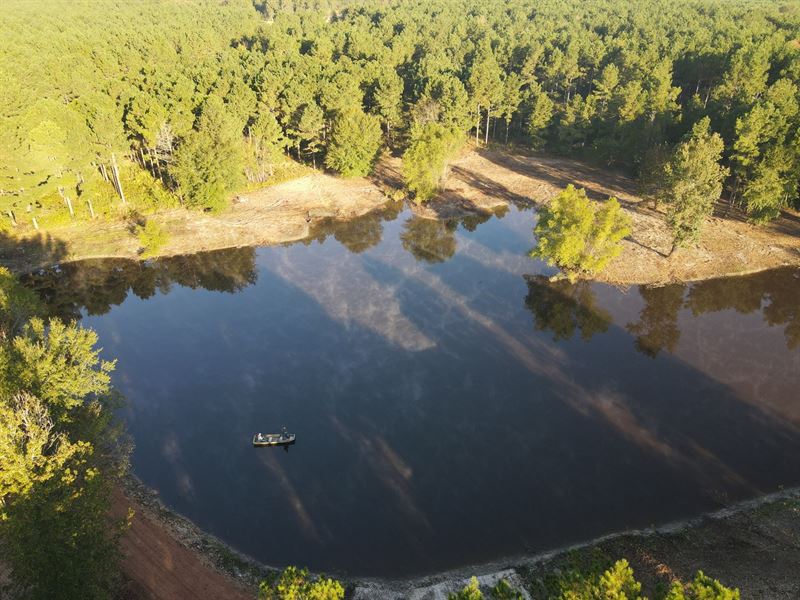 Texas Timberland Property & Hunting : Omaha : Morris County : Texas