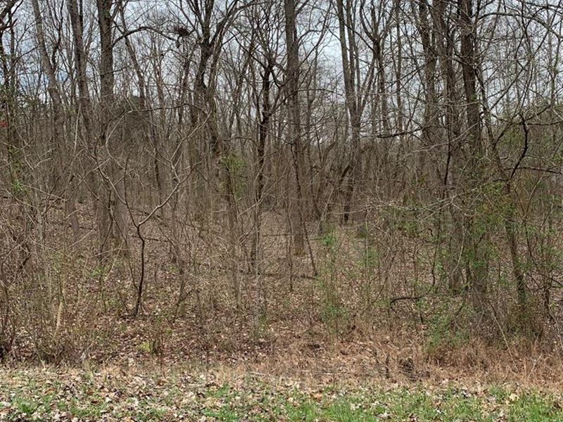 Wooded Building Lot : Big Sandy : Benton County : Tennessee