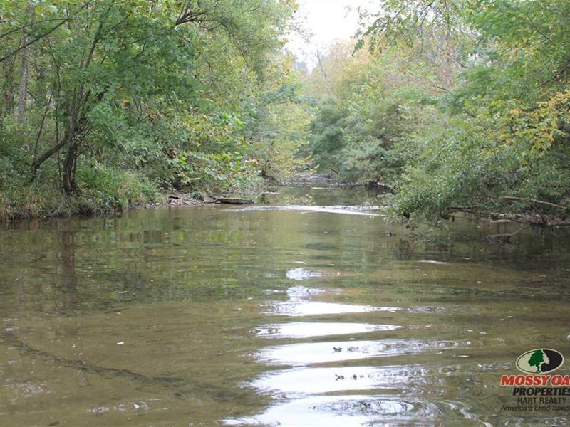 Hunting Jewel in 2 States : Hestand : Monroe County : Kentucky