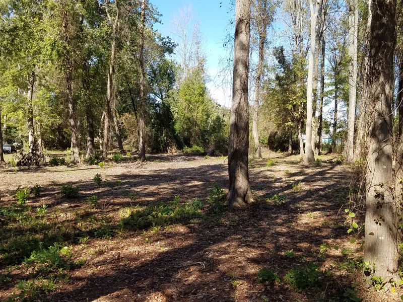 Vacant Land for Sale in NC : Washington : Beaufort County : North Carolina