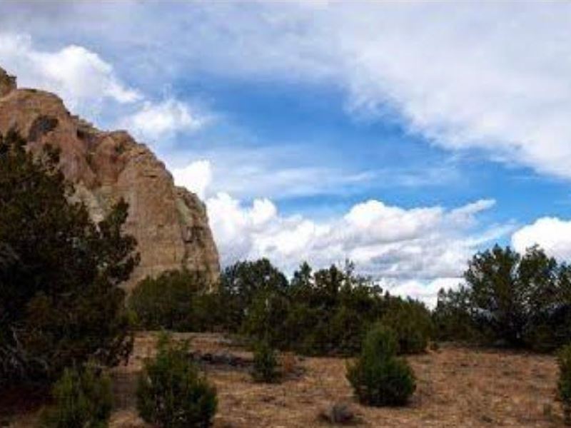 Huge Corner Lot in Pine Meadows : Ramah : Cibola County : New Mexico