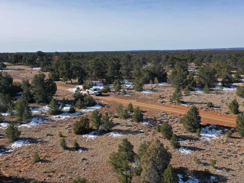 Huge 2.5 Ac Pine Meadows Ranch Lot : Ramah : Cibola County : New Mexico