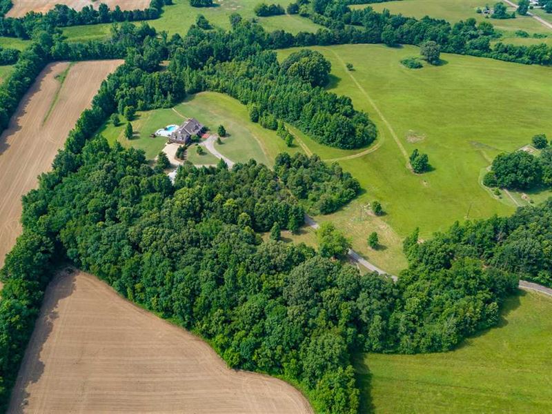 40 Acres of Paradise : Pontotoc : Prentiss County : Mississippi