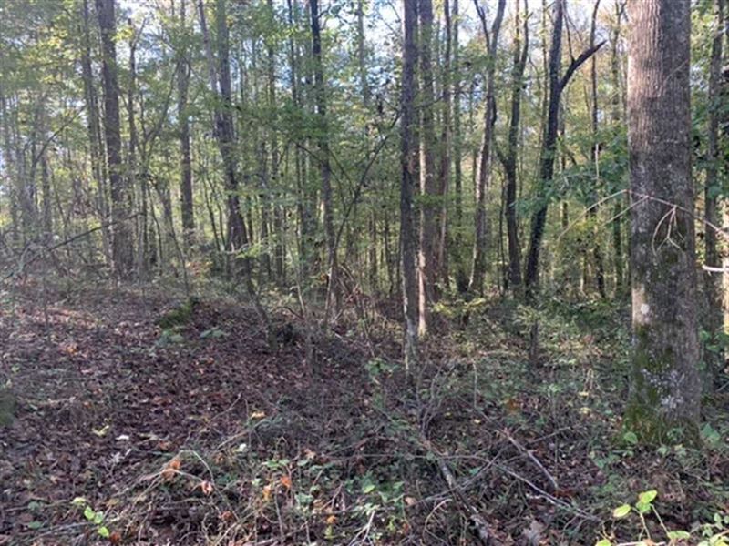 1.93 Acres Lee County : Saltillo : Lee County : Mississippi