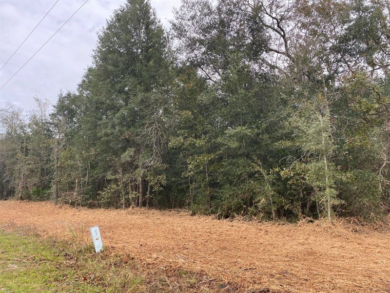 Spring Ridge Subdivision : High Springs : Gilchrist County : Florida