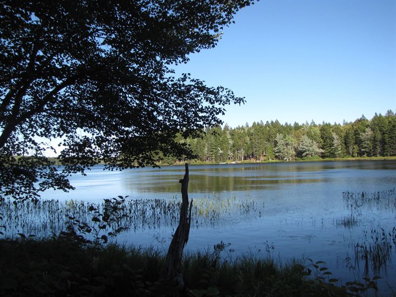 Lakefront Property For Sale Land for Sale in Whiting, Washington