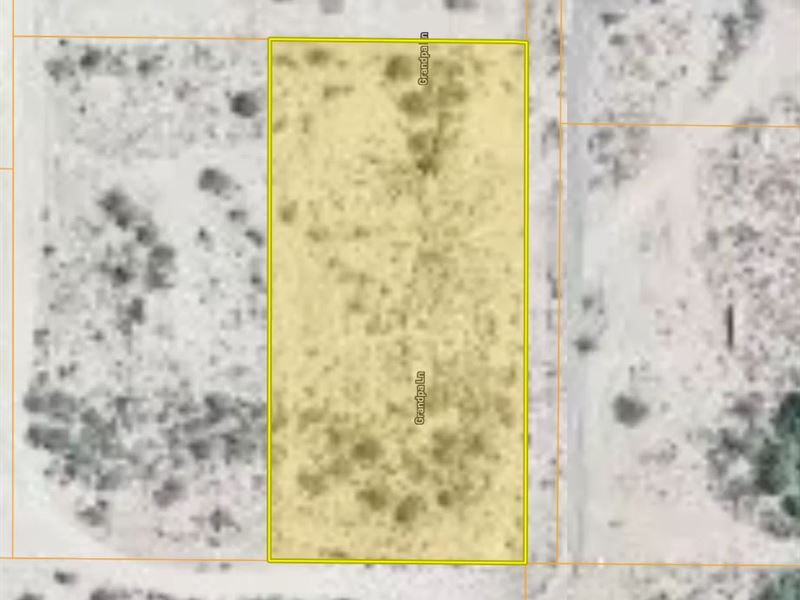 1.25 Acre Lot in Pima : Pima : Graham County : Arizona