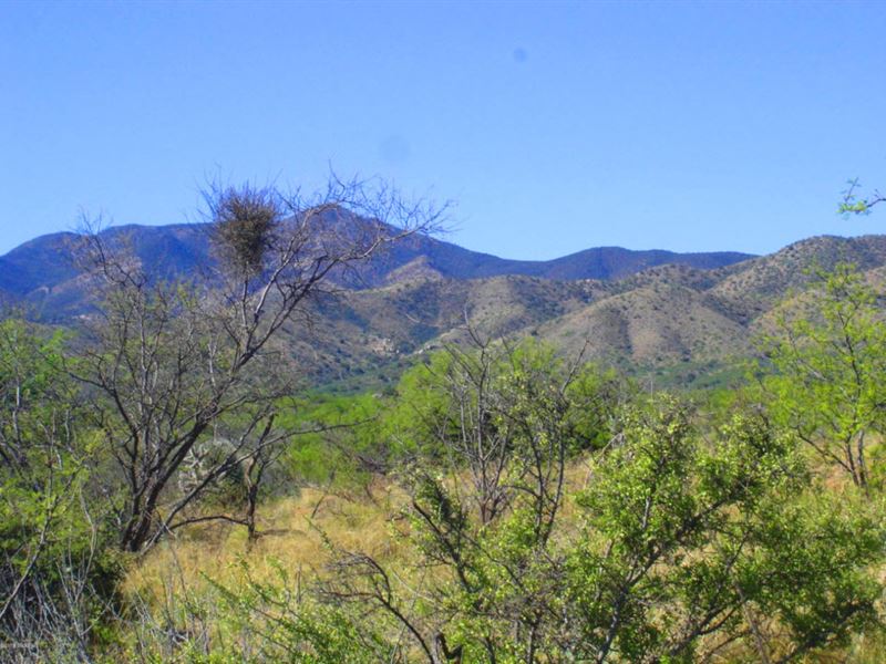 16 Acre Horse Lovers Dream Property : San Manuel : Pinal County : Arizona
