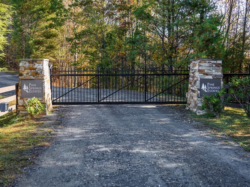 Wooded Lot with Electric Near River : Jefferson : Ashe County : North Carolina