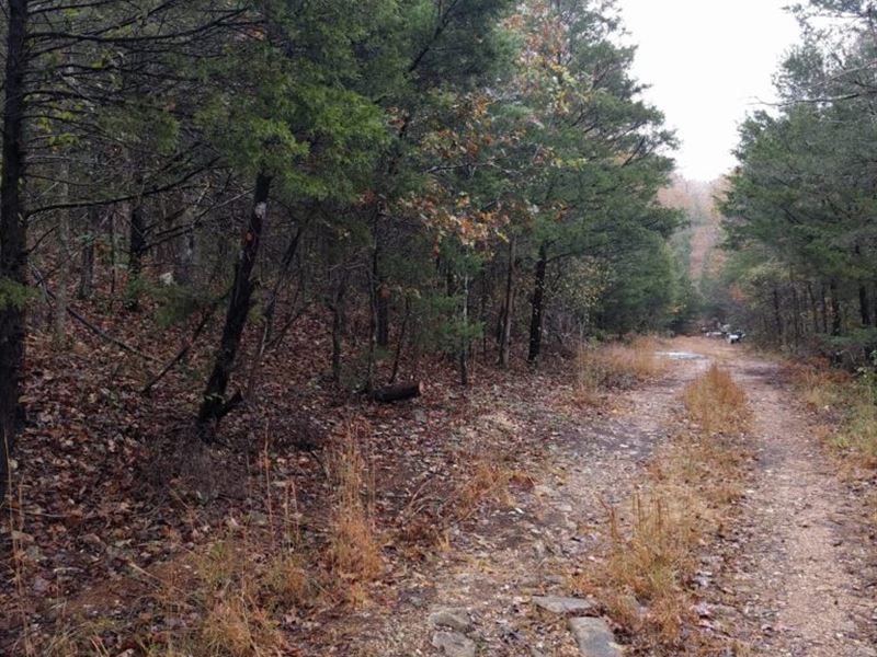 A Secluded Lot in Sharp County, AR : Hardy : Sharp County : Arkansas