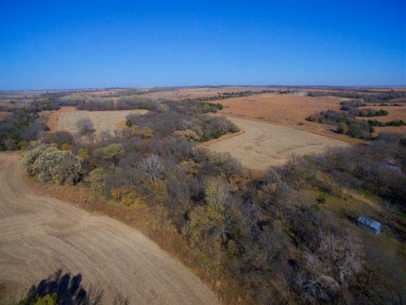 Chapman Ultimate Hunt Tract : Chapman : Dickinson County : Kansas