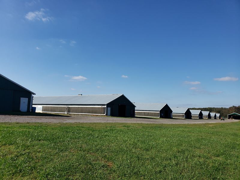 8 House Poultry Broiler Farm : Crandall : Murray County : Georgia