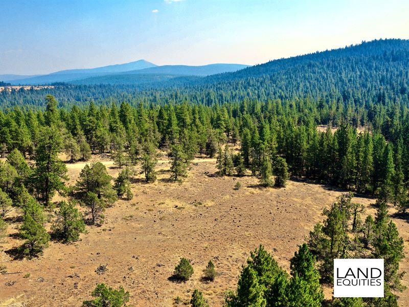 Borders National Forest Shared Well : Bonanza : Klamath County : Oregon