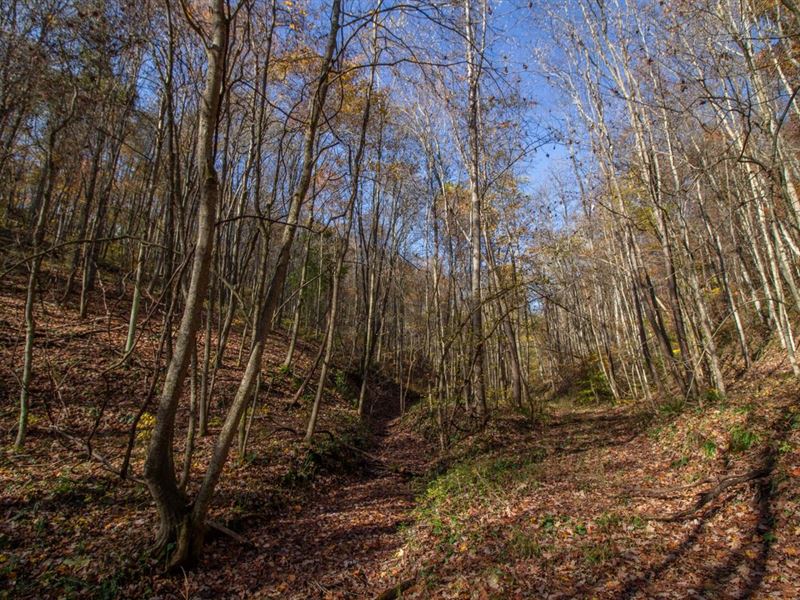 Goose Creek, 68 Acres, Vinton Cou : McArthur : Vinton County : Ohio