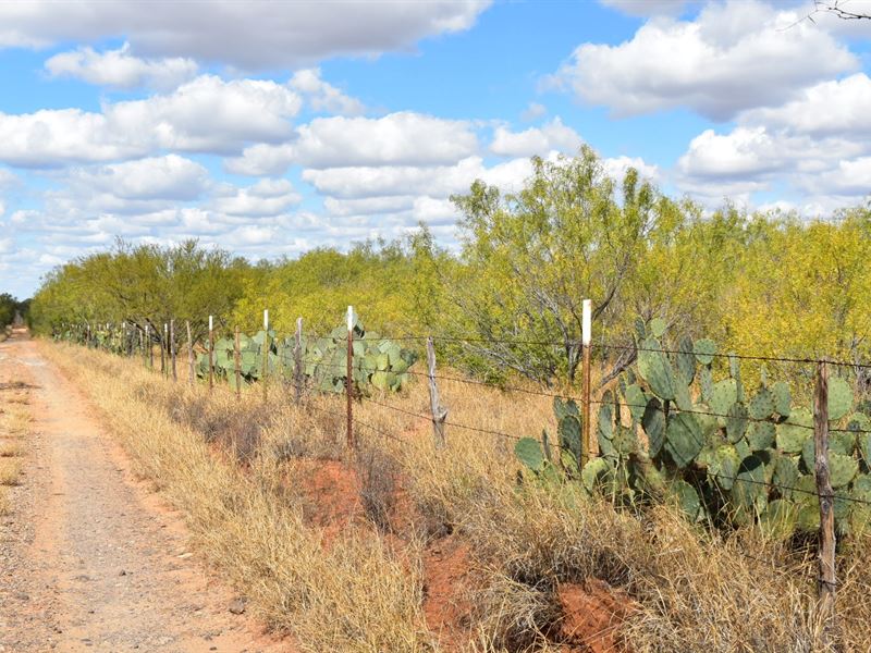 20 Acre Ranch in North Laredo : Laredo : Webb County : Texas