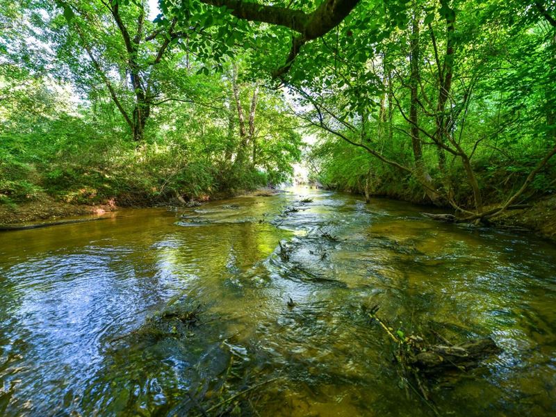 Acreage on Wehadkee Creek : Rock Mills : Randolph County : Alabama
