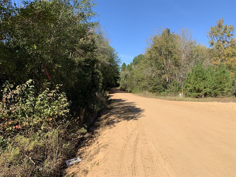 0 Down & Owner Financed, Land for Sale by Owner in 259818