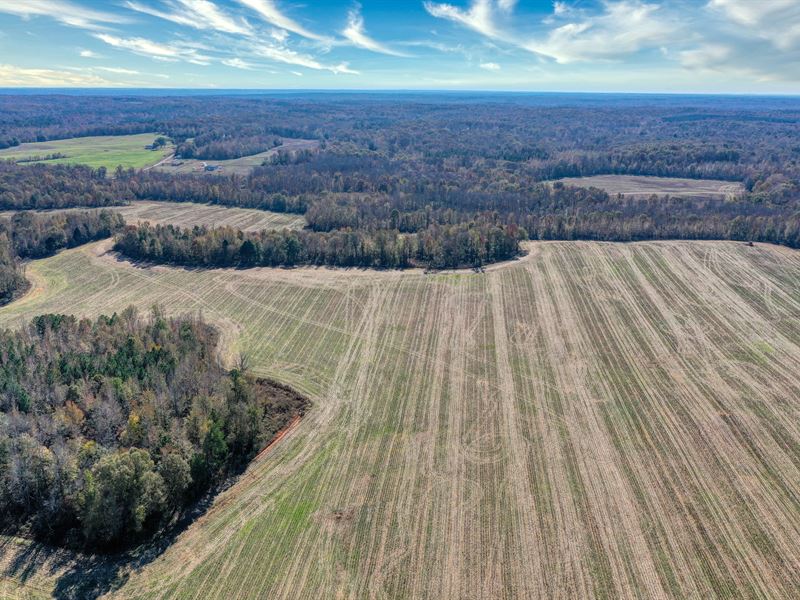 Vale Road, Acreage : Mansfield : Henry County : Tennessee