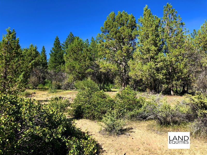 Escape to You Own 1.56 Acres : Beatty : Klamath County : Oregon