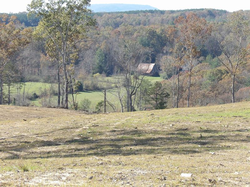 Views, Creeks, Ponds, and Private : Grandview : Rhea County : Tennessee