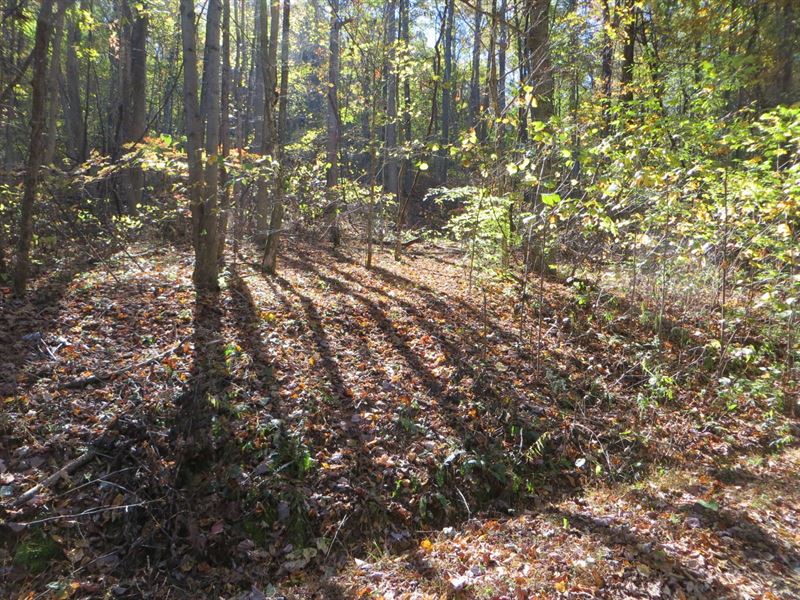 Private, Rock Formations, Views : Pikeville : Bledsoe County : Tennessee