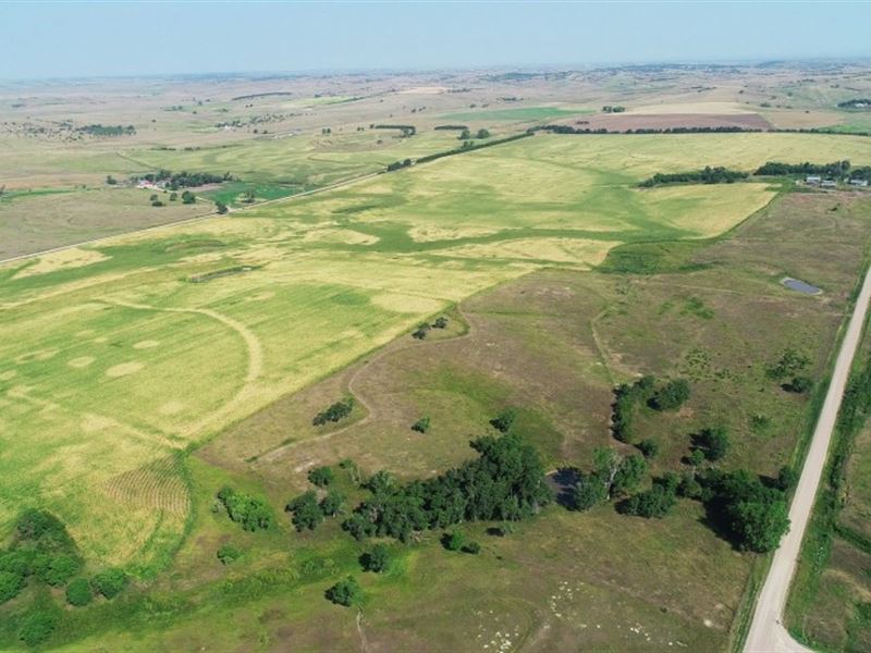 Farnam Half Section Absolute Auctio : Farnam : Dawson County : Nebraska