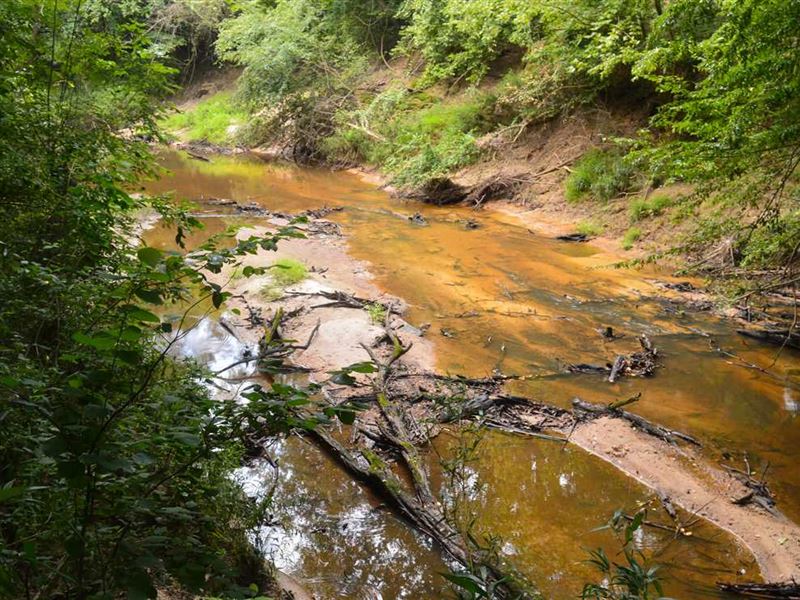 88 Acres of Hunting and Timberland : Mendenhall : Simpson County : Mississippi