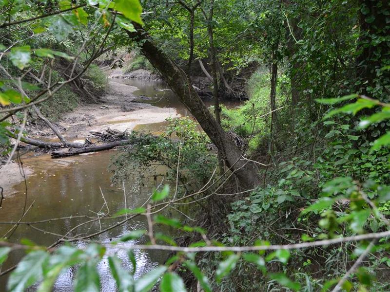 69 Acres Timberland and Hunting LA : Mendenhall : Simpson County : Mississippi