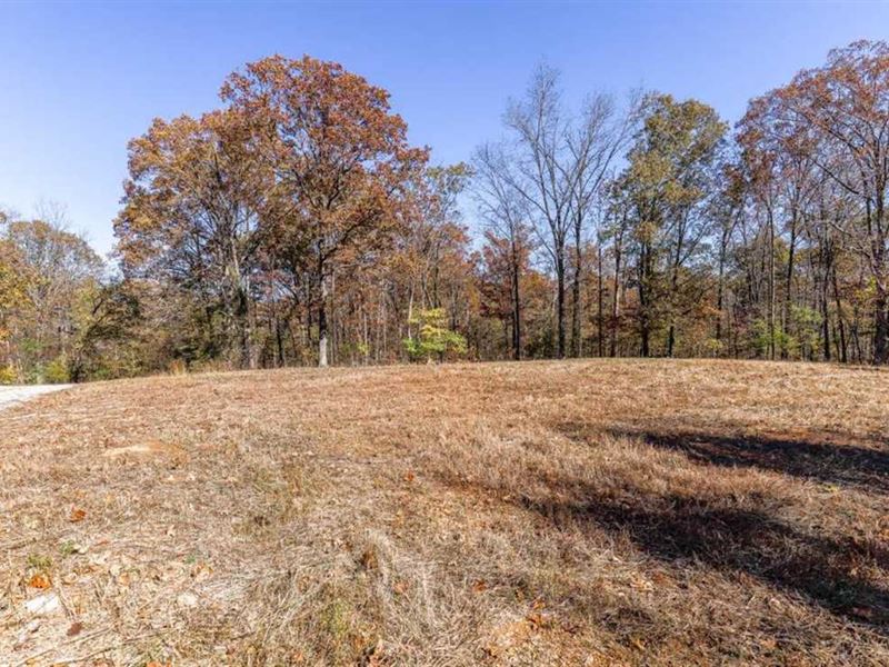Residential Lot for Sale in Wappap : Wappapello : Butler County : Missouri