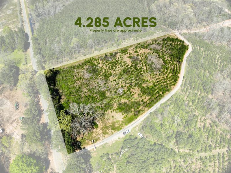 Lot 1 of 4, Columbia County Road : McNeil : Columbia County : Arkansas