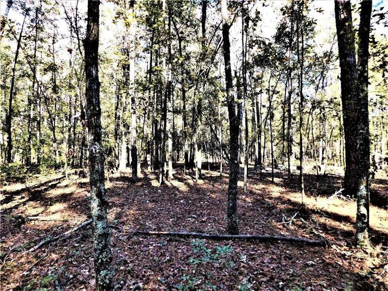 Small Acreage Deer Honey Hole in Or : Bowman : Orangeburg County : South Carolina