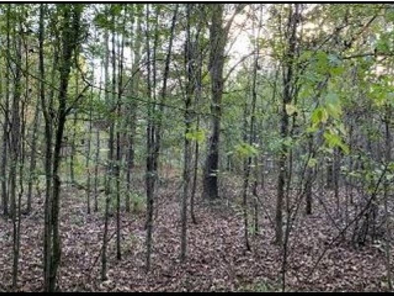 37.8 Acres in Copiah County in Hazl : Hazlehurst : Copiah County : Mississippi