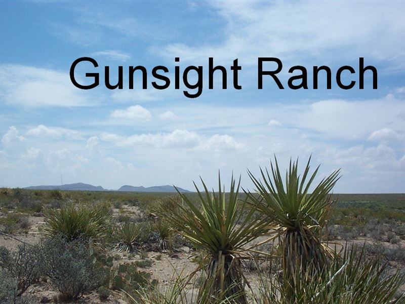 A Great Hunting Season : Sierra Blanca : Hudspeth County : Texas