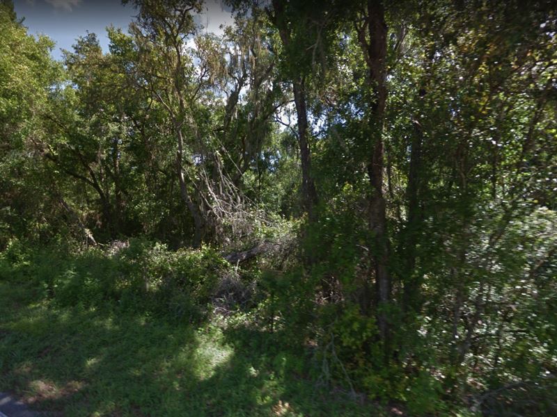 .2 Acre for Sale in Interlachen : Interlachen : Putnam County : Florida