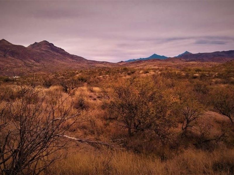 Quiet Cul-De-Sac Property : Rio Rico : Santa Cruz County : Arizona