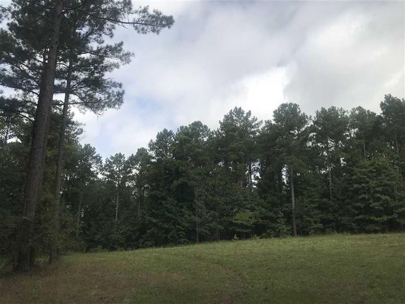 315 Ac. Tuscaloosa Co, AL Near : Vance : Tuscaloosa County : Alabama