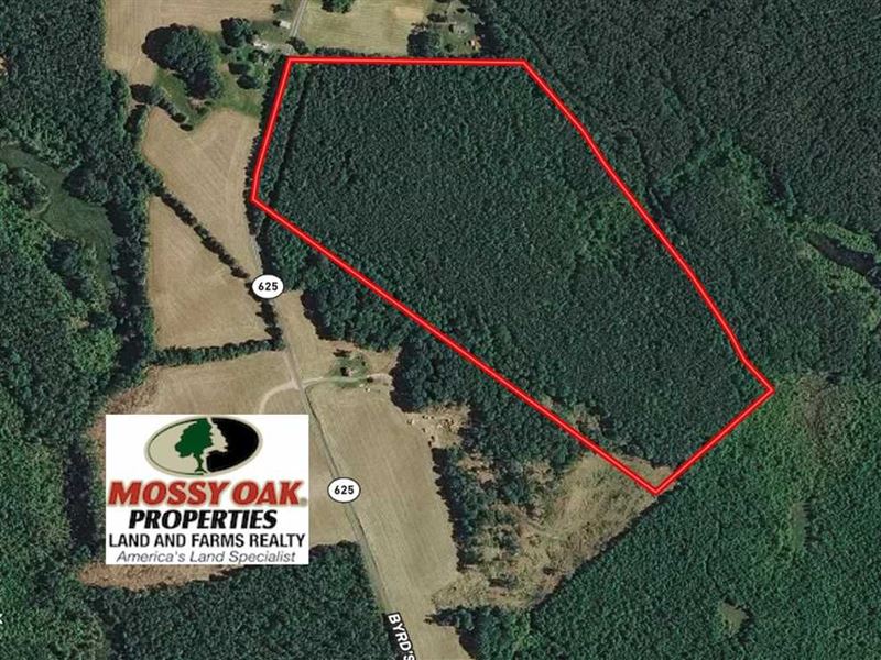 46 Acres of Recreational : Newtown : King And Queen County : Virginia